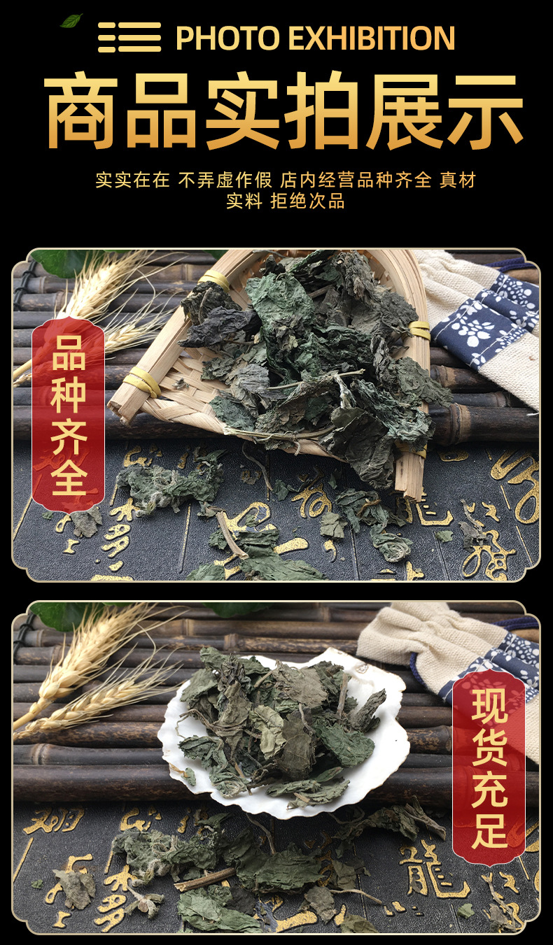Dried Nettle Leaf Qian Ma Ye Whole Herb Culinary Herbal Tea Ingredient Loose Pack in use