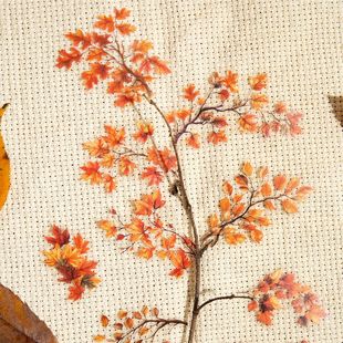 �Լ�PET�N����  �q��֦Ѿϵ�� ��֦���}���~DIY�ز��b��N30��6��