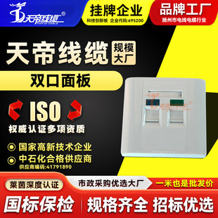 Factory direct Tiandi double-port panel network cable network panel computer network cable network broadband fiber optic socket
