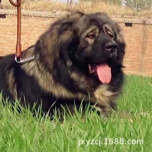 ���l���ƾ��͸߼�������Ȯ����Ȯ���w��������Ȯ�o�lȮ��������