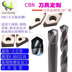 ���xCBN��^�����T�F���F��ĩұ���õ����ȸ߽��ڿ� ����CBN����