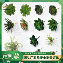 ���₀�Զ������ֲ��ٻ����^�Gֲ����ֲ��diy�Ҿ��bS��ֱ�N