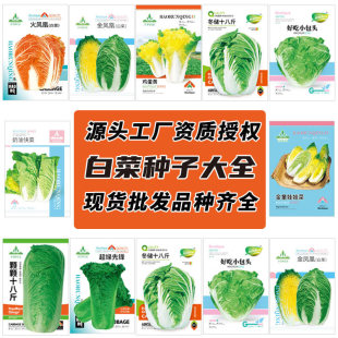 �S�����l��ײ˷N���＾������޲˶����ײ˷N�Ѵ�ȫ�u���S���P��