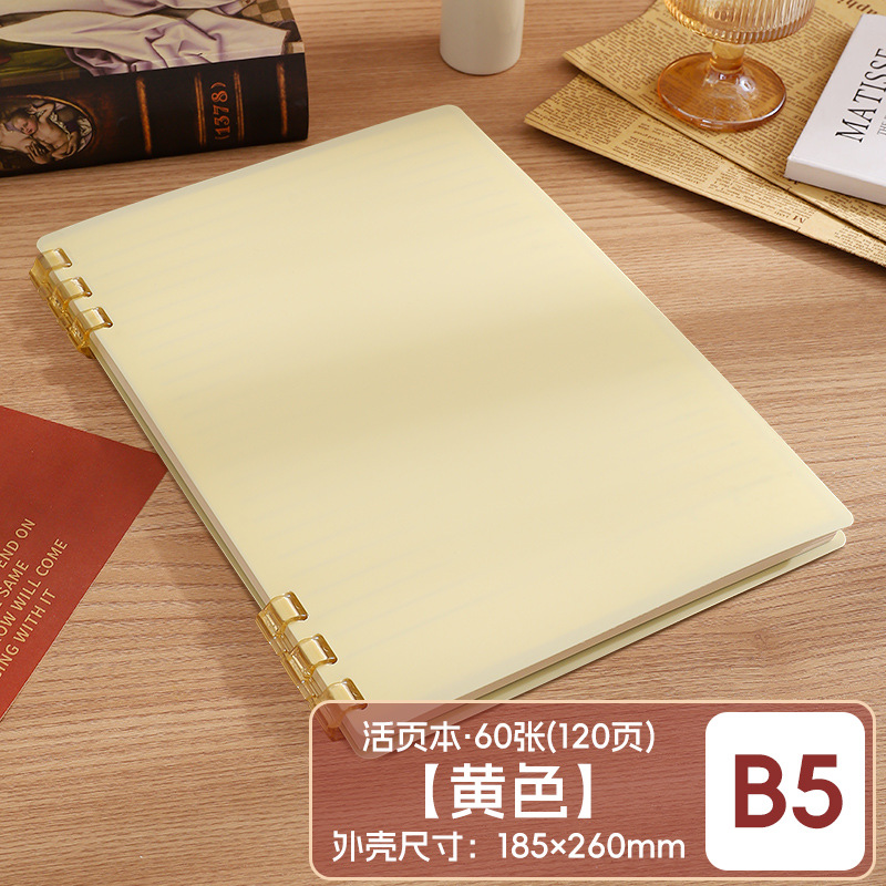 Este cuaderno de hojas sueltas B5 se puede desmontar para reemplazar el núcleo, la portada de las hojas sueltas PP respetuosas con el medio ambiente no presiona el libro de bobinas engrosadas a Mano.