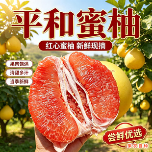 ���ں��ϼt�������������r����ˮ�����l���]5��Fժ��������