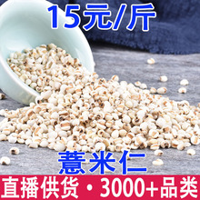 ޲���� ޲�� ����s�Z�����r��޲�������l���l