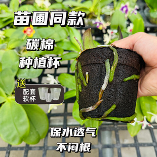 ����̼�޷Nֲ�������m��ֲ����Nֲ�K���λ��|ֲ��̿���M����̿��