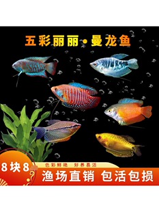 �����~��ˮ�~���^�p�~���B�ͻ�С�~������С����������~���~���~