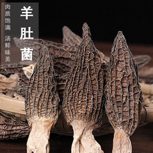 ��Ǿ����l������������Ǿ���؛500g�^����؛���������Ҝ�ʳ��