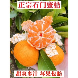 2025����ˮ���������ӳ���10���������r�۽۱�Ƥ���ӬFժʯ�T����