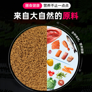 ��β���β�~ʳС���~�~�Z���~��ϱ��Ꭷ����һü����ȸ�������