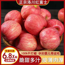 【洛川苹果】陕西正宗洛川红富士苹果新鲜脆甜礼盒水果整箱批发