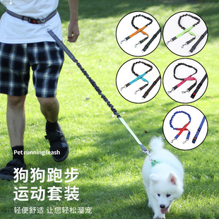 Running Leash Portable Luminous Reflective Pet Leash Buffer Elastic Explosion-Proof Belt Dog Walking Leash Set