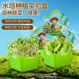 电子宠物;风筝;电动公仔