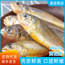 كˮarСS~ҰS~÷~÷~սbl