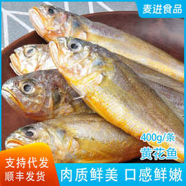 速冻水产新鲜小黄鱼野生黄花鱼梅子鱼梅鱼真空斤包装冷冻批发