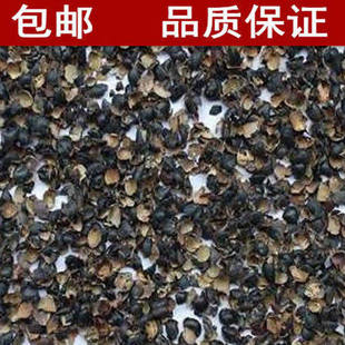�ڶ��� �ڶ�Ƥ ���������^ ɢ�b��؛��؛��؛