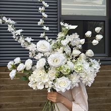 ��ɫϵ���}��c���滨��Y�õ�피ٻ�����Ҿ��Ĕz�zӰ���߻����l