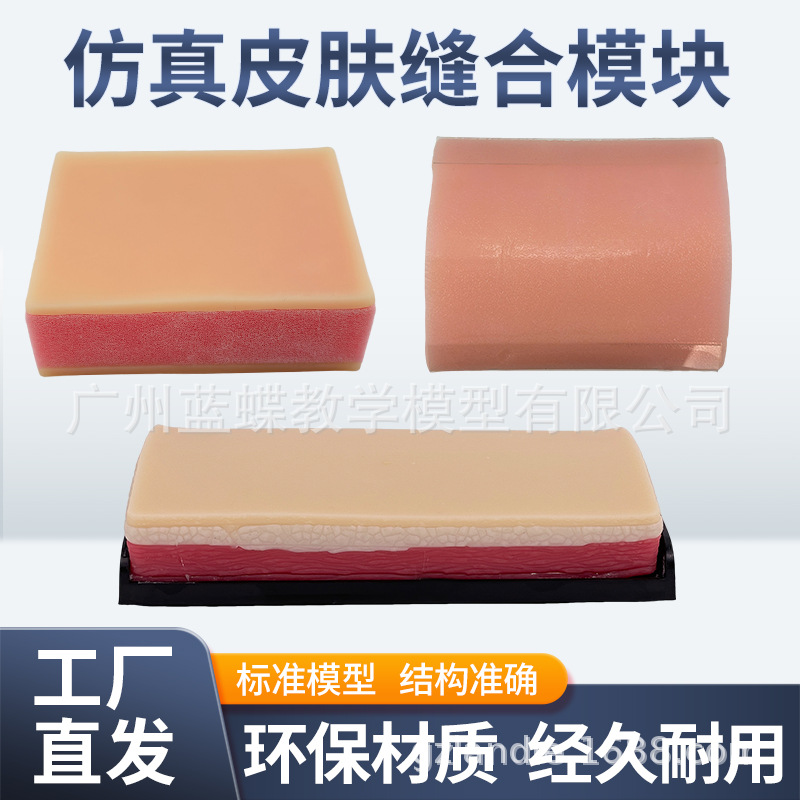 �����Ƥ�����ģ�� ��㼡���п����ѵ��ģ�� ����п������ϰ