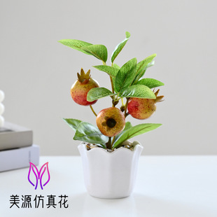 �¿�ٻ�����ֲ��ˮ��С�辰�����҃Ȕ[������Gֲ�������ԙ��ʘ�