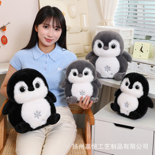 �ɐ۴������Z���п�ͨѩ�����Zë�q��ż���Е����b[��������ż