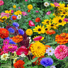 ҰMϷNļɷNĻNӶܷNӲ˹հղݻN