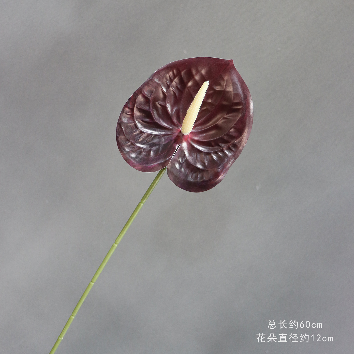 15호 3D 프린팅된 안스리움