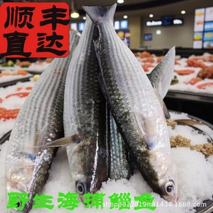 ��������~���~���^�~�����~���r�ك����~ÿ���~�����~֧�~