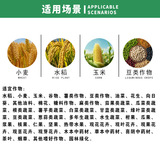 德国康朴 Внекорневое удобрение Compo, жидкое борное удобрение для винограда, клубники, плодового дерева, улучшает завязывание плодов и способствует опылению, борное удобрение, 10 мл.