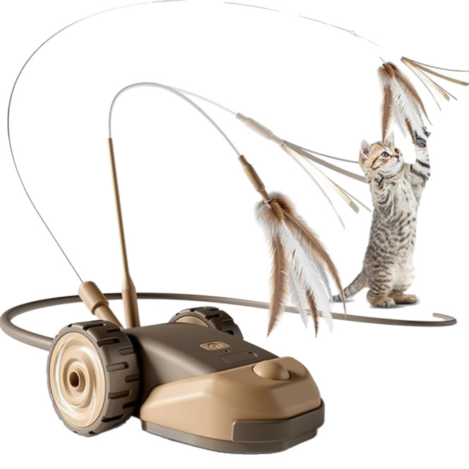 �羳�������ܳ� ����������߽��������綯���˶�è��è�����