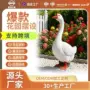 庭院跨境爆款源头摆设