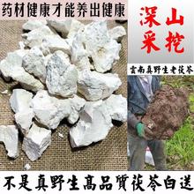 云南真野生白茯苓块切片材干茯苓灵茯菟泡茶水打粉
