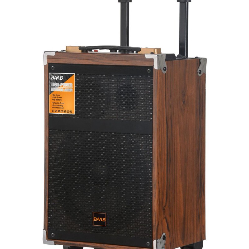 8inch Wooden Square Dance Speaker Outdoor Karaoke Speaker High Power with Wireless Microphone Bluetooth Trolley Mobile Wholesale