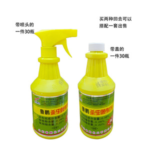 500ml���i���H���Ç��䄩����ω���������l���g���x���䄩
