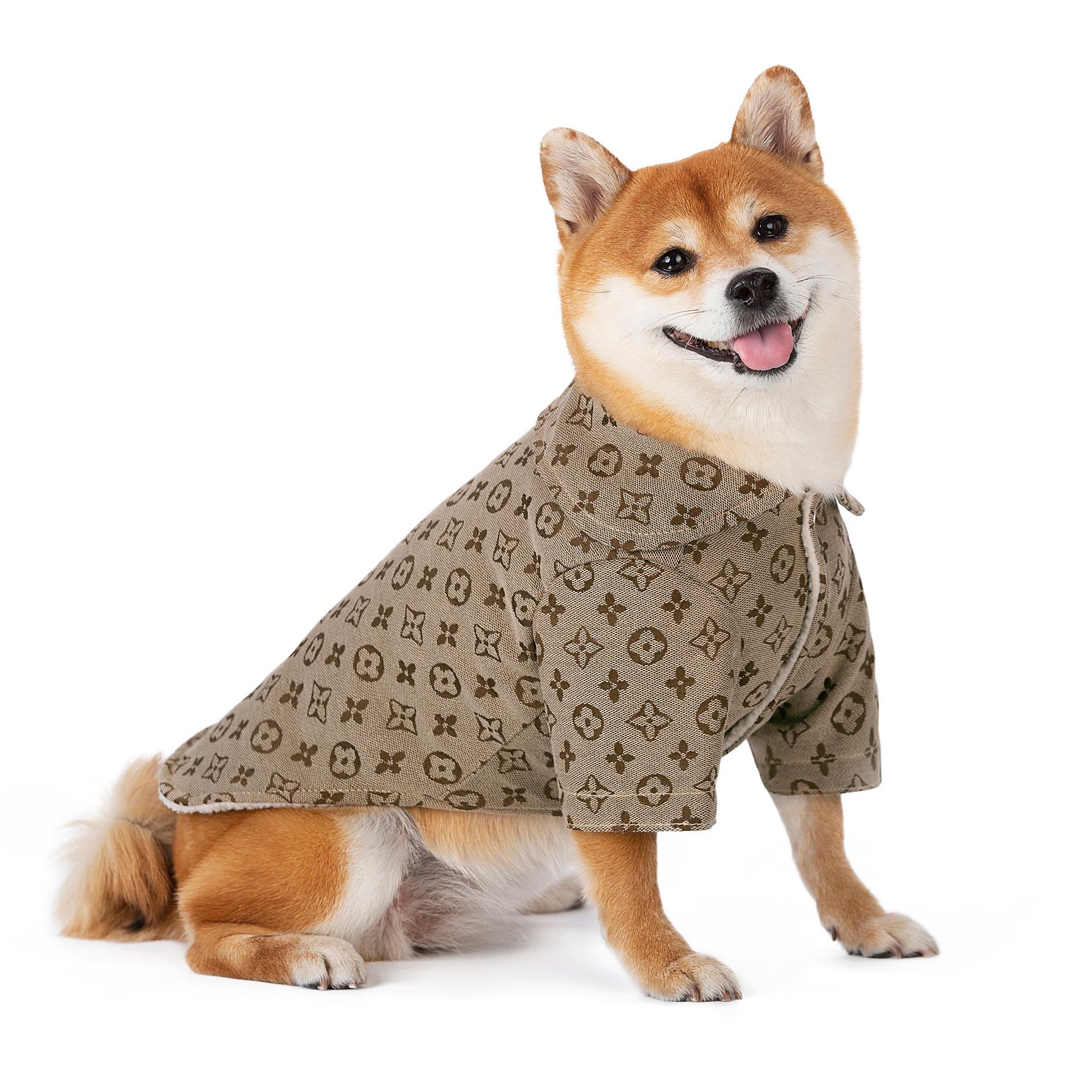 Dog Clothes Image 1