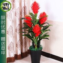 �ٻ����\���^�����҃���ؼ�ֲ���b����ͷ���ֲ�����Կ͏d�[�O