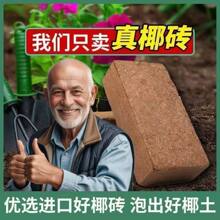 ���ݰlҬ�u�I�B���N���N���ЙCÓ�}Ҭ�����sͨ��Ҭ�u�o�}�o��Ҭ�u