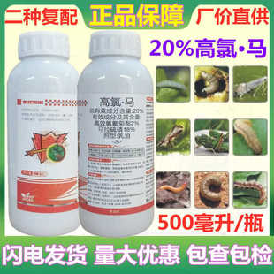 20%�����R��Ч��������R�������O����С�`ʳ���x����x���x��