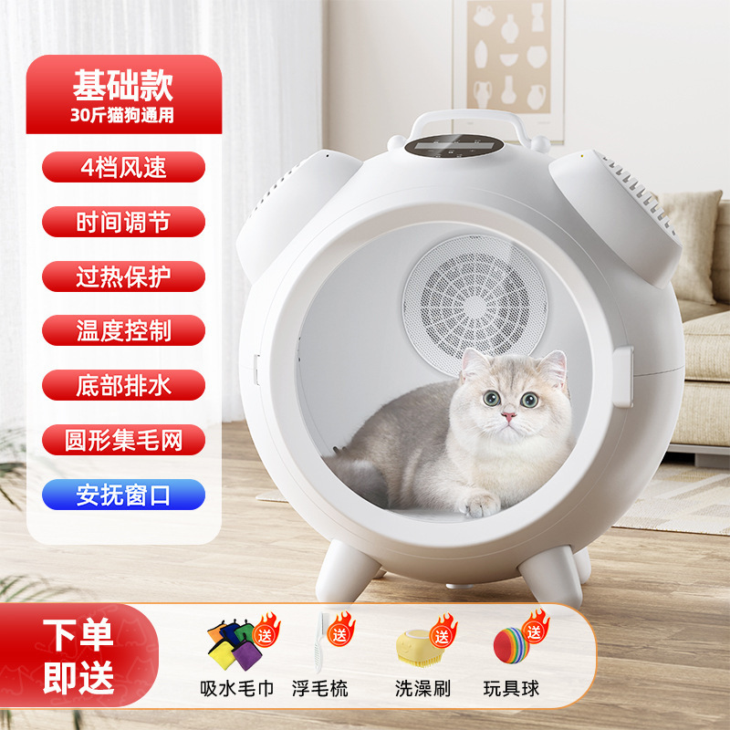 화이트 기본 모델