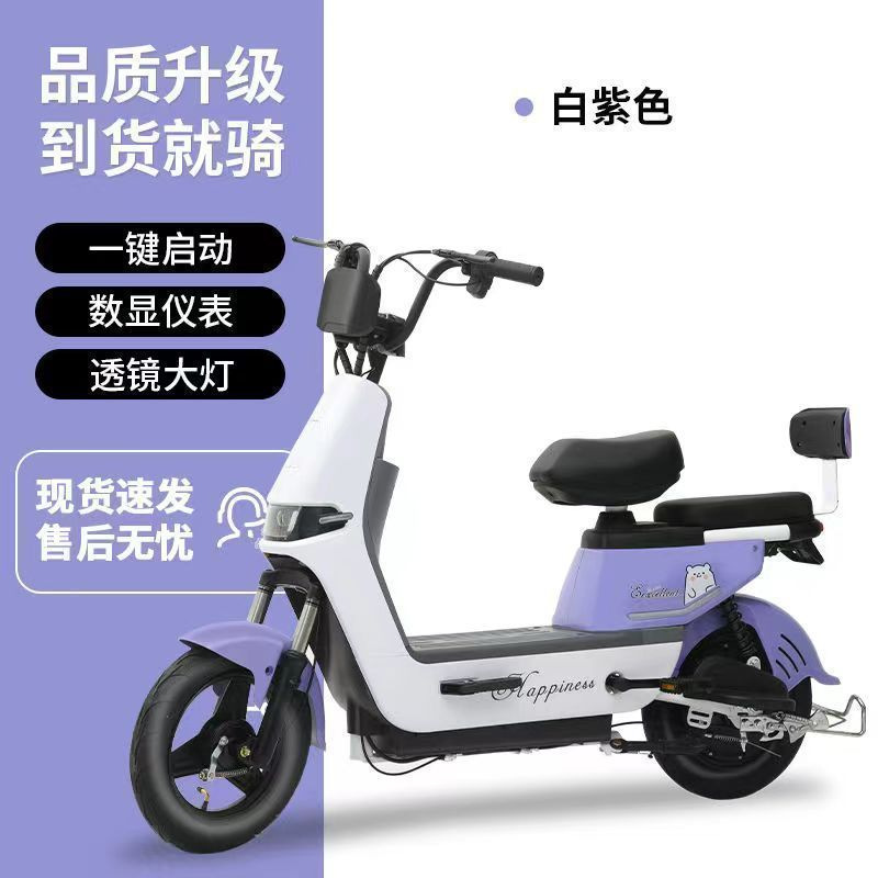 Nuevo colorido caballo adulto para caminar dos ruedas de larga duración fabricantes de automóviles de batería al por mayor vehículos eléctricos autónomos