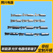 �S��ֱ���ӏ��^��ĸ����/��܇��������/�Ӿ�����