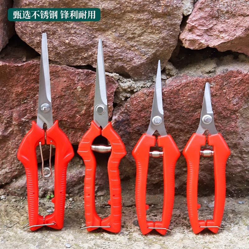 修枝园艺剪刀水果采摘盆栽修枝花艺师修花剪枝除刺园林果农省力剪