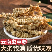 虫草参地蚕子地参新货干货批发源头产地山货一件代发云南