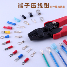 SC�~���ӽӾ�OT�_�ڱǉ����Q�A��UT��������Ӊ��Ӊ����Q�������