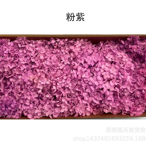 [Вечная Life Flower Hydrangea] Анна Градиентный цвет Лист Hydramid Книга цветов оптом DIY цветочная коробка материал для просмотра