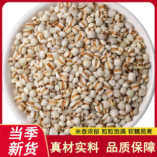 ޲����޲������޲�����F�����ʲ�����s�Z���ם���r���ԷN޲����