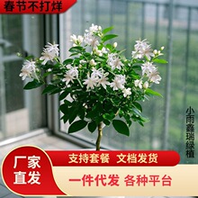 һ�����l�P���������Ԫ��U�ΰ�����ذ껢�^�����҃��̨�͏dֲ