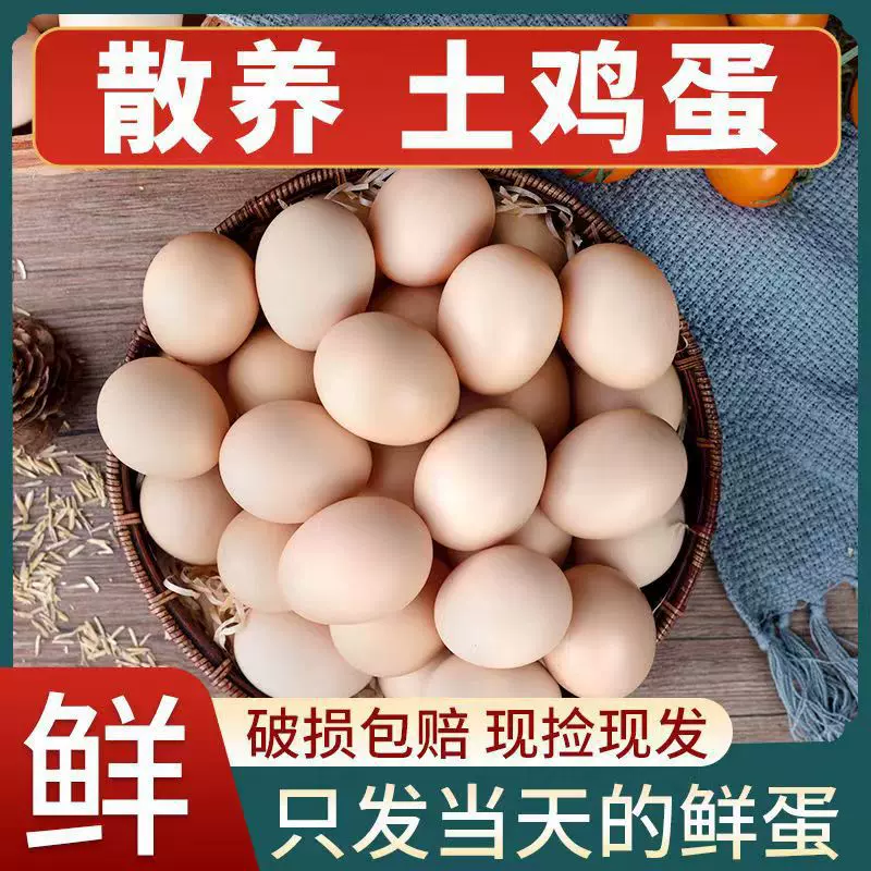 农家土鸡蛋批发包邮山林散养新鲜柴蛋无腥草鸡蛋整箱包邮商超鸡蛋