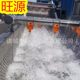 旺源提供 小龙虾清洗机 全自动气泡喷淋清洗设备 小龙虾清洗设备