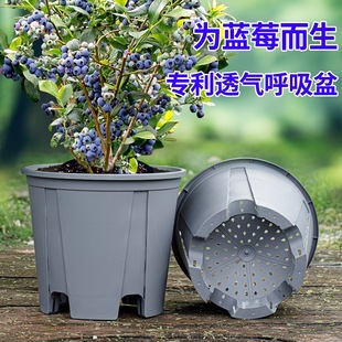 �{ݮ��������֬�Ӻ�A���ش���ɽ�ظ����ش�̖�����Nֲ��